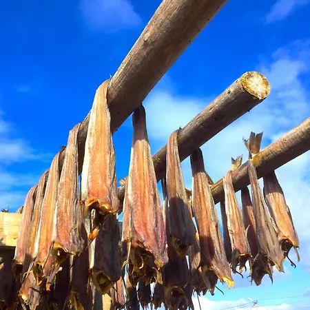 Authentic Rorbu *